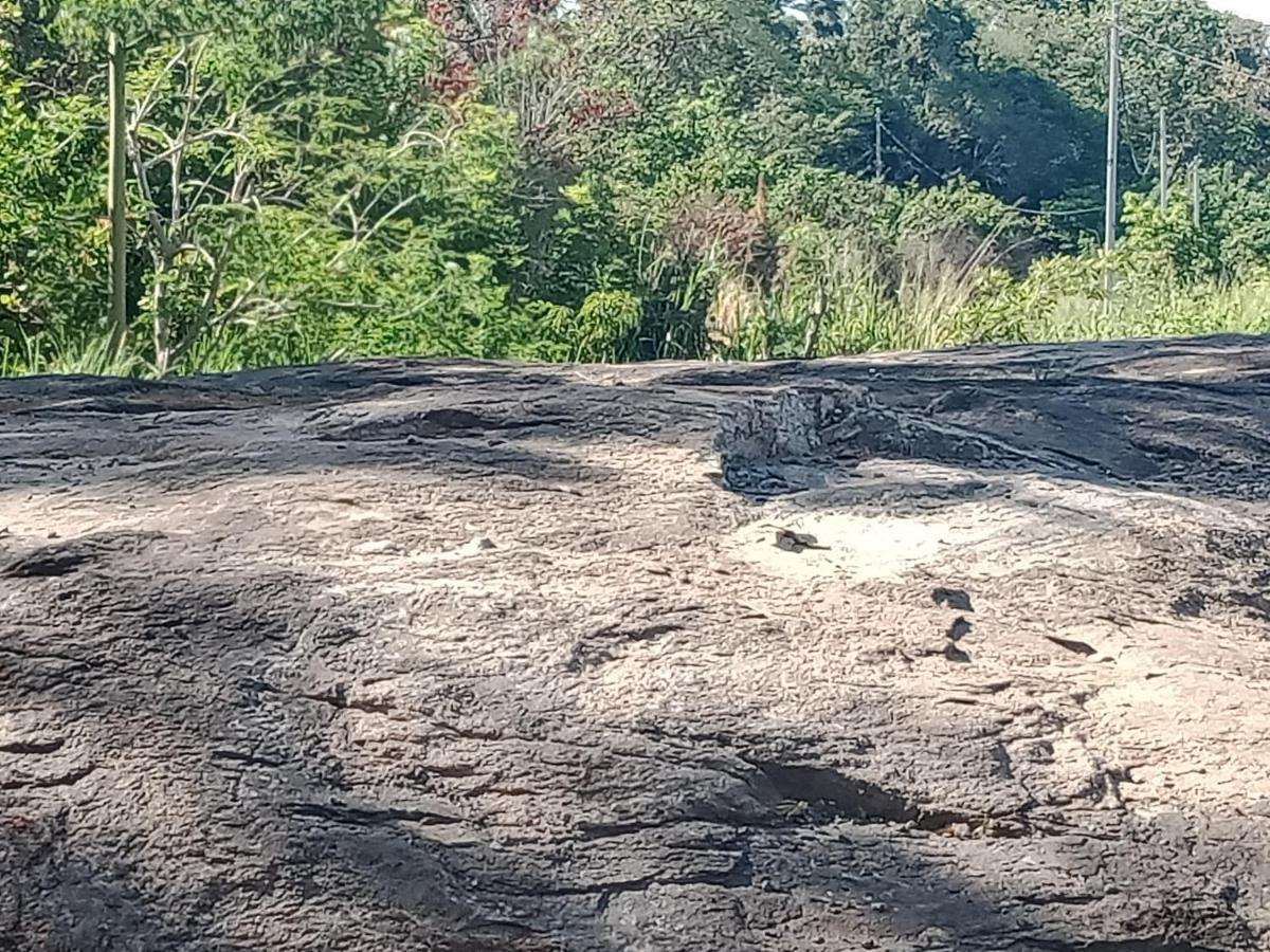 Sigiri Gayani Home Stay Sigiriya Luaran gambar