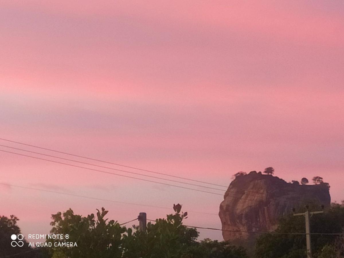 Sigiri Gayani Home Stay Sigiriya Luaran gambar