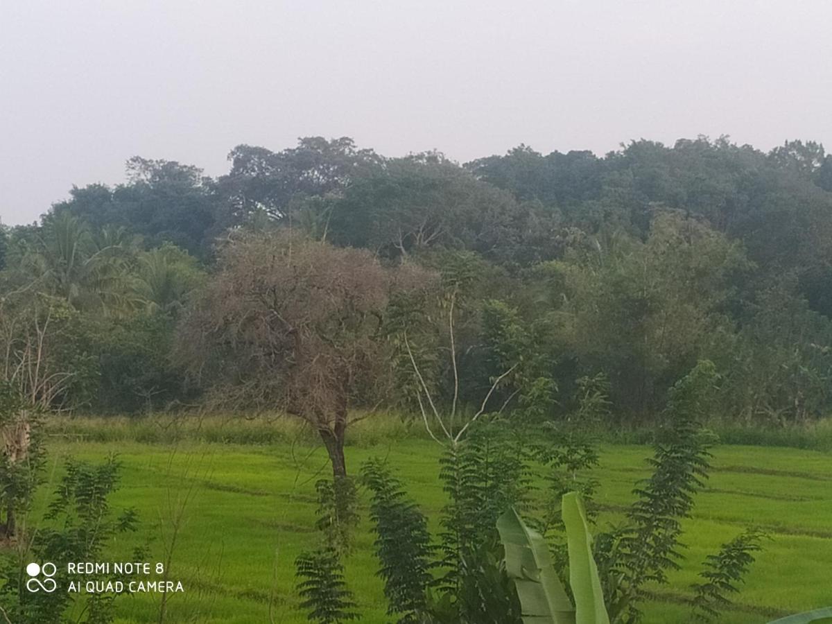 Sigiri Gayani Home Stay Sigiriya Luaran gambar