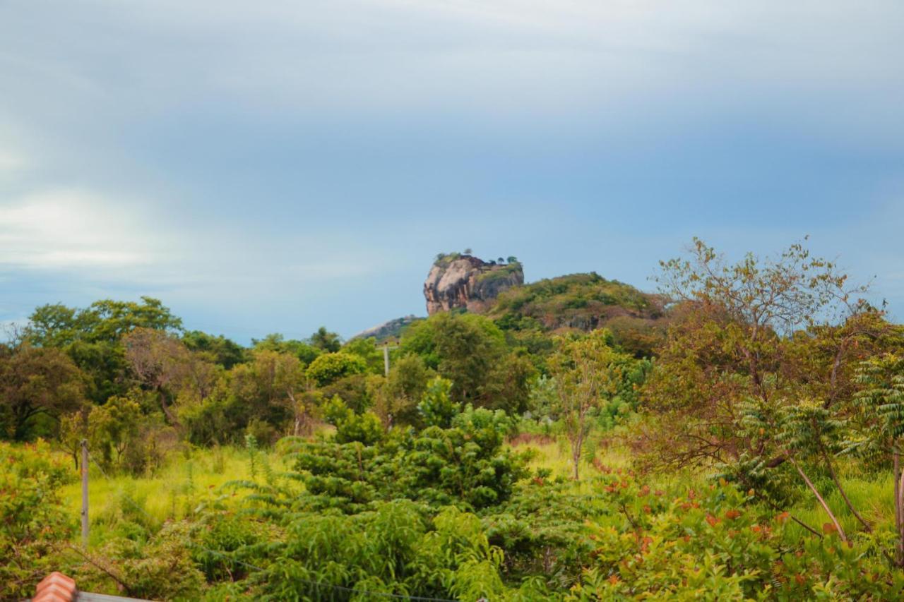 Sigiri Gayani Home Stay Sigiriya Luaran gambar