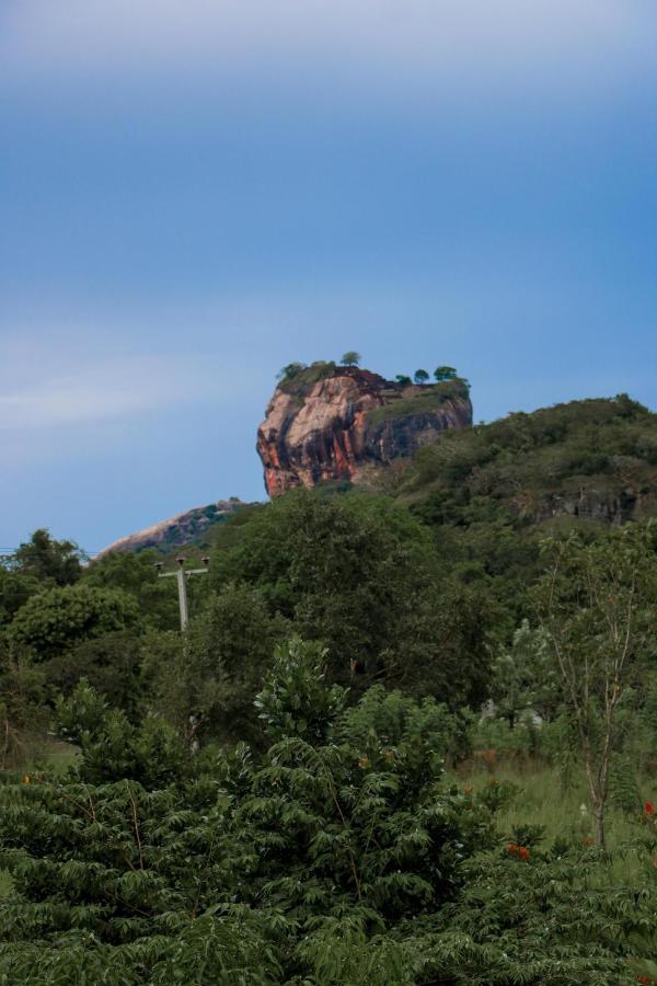 Sigiri Gayani Home Stay Sigiriya Luaran gambar