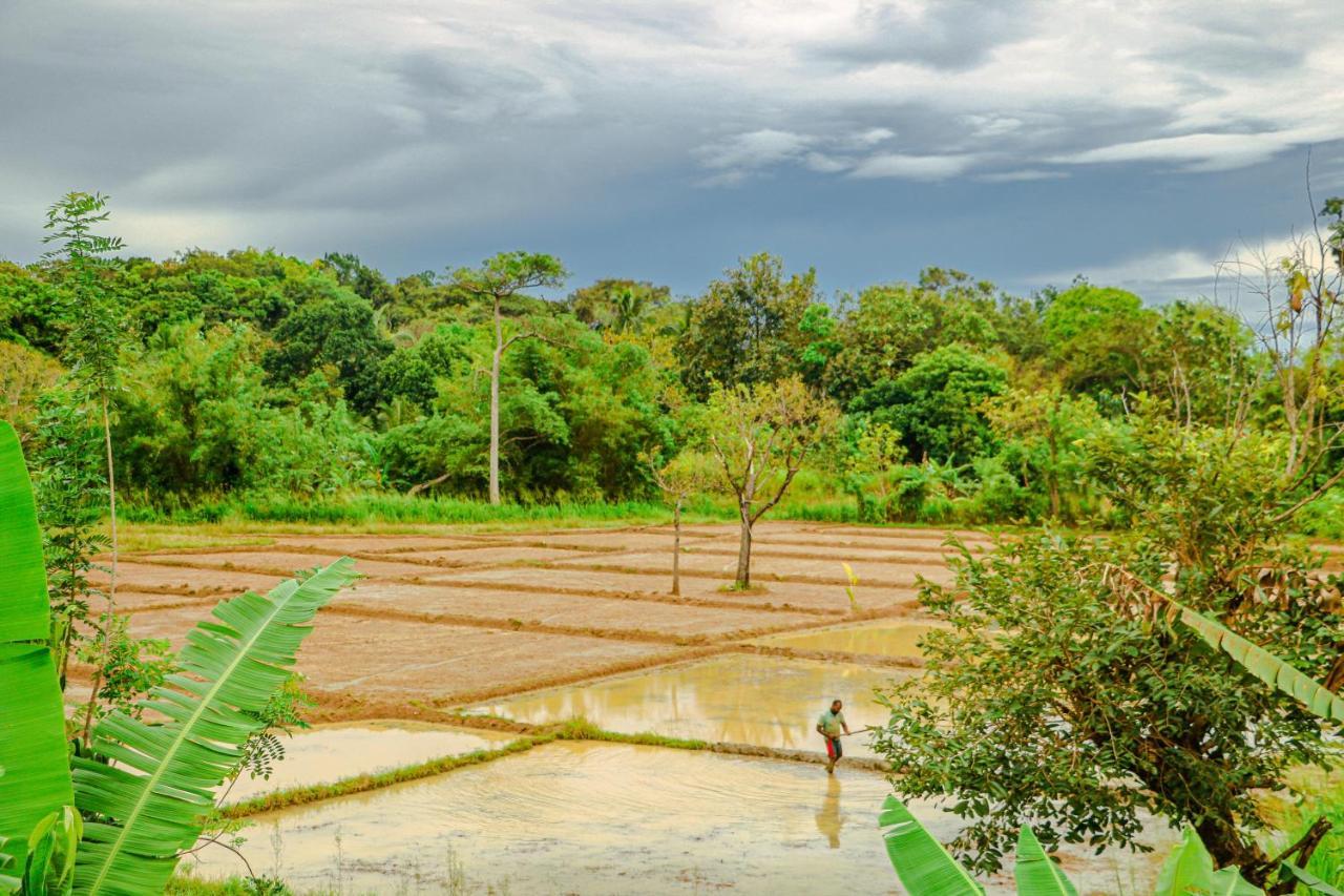 Sigiri Gayani Home Stay Sigiriya Luaran gambar
