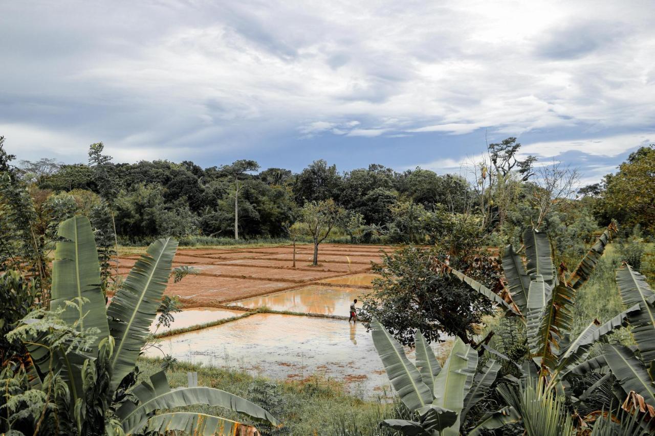 Sigiri Gayani Home Stay Sigiriya Luaran gambar
